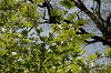 imgp1437_thumb.png