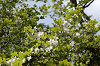 imgp1441_thumb.png